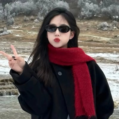 挎斗摩托车里的狗